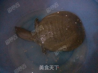 红烧甲鱼的做法步骤：2