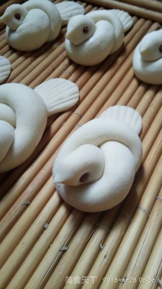 白鸽馒头的做法步骤：9
