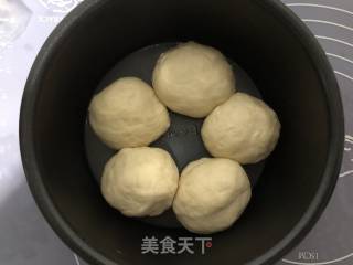 酸奶小餐包的做法步骤：5