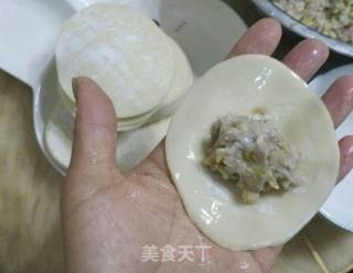 煎饺的做法步骤：2