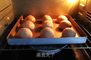 黑麦面包的做法步骤：16
