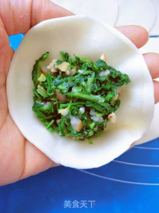 油脂荠菜馅蒸饺的做法步骤：10