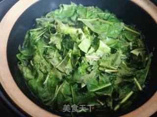 蒲公英茶的做法步骤：4