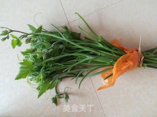 炒瓜苗的做法步骤：1