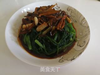 炝汁菠菜的做法步骤：8
