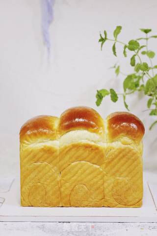 炼乳吐司（中种）的做法步骤：18