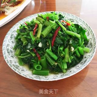 蒜泥空心菜的做法步骤：7