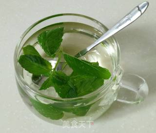 夏日饮品:薄荷茶的做法步骤：4