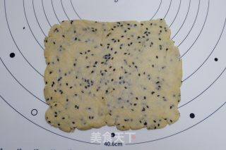 黑芝麻阿拉棒的做法步骤：9