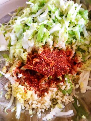 圆白菜泡菜（冷面伴侣）的做法步骤：5