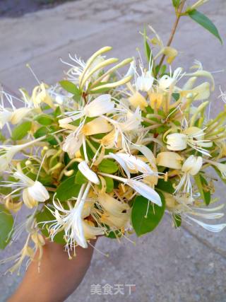自制金银花茶的做法步骤：3