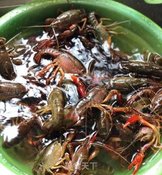 香辣小龙虾的做法步骤：2