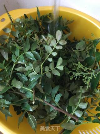 炸花椒嫩芽的做法步骤：1