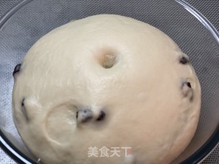 蔓越莓软欧的做法步骤：8