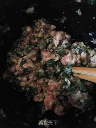 灰菜肉饺的做法步骤：7