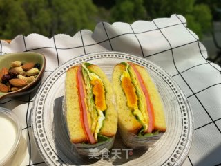 料多多三明治的做法步骤：14