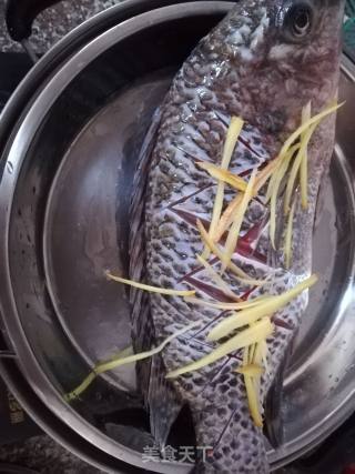 清蒸罗非鱼的做法步骤：2