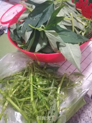 蒜头炒番薯叶的做法步骤：1