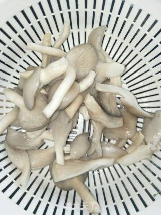 平菇肉片汤的做法步骤：2