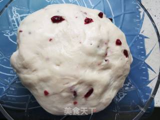 蔓越莓软欧的做法步骤：13