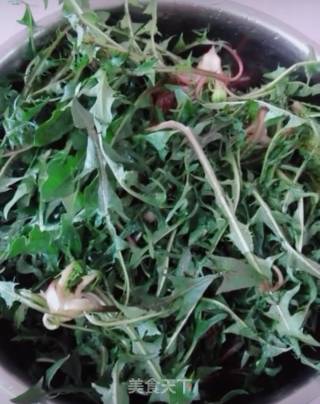凉拌野菜的做法步骤：1