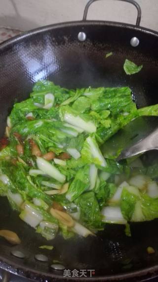 白菜炖粉条的做法步骤：4