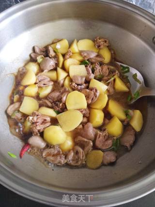 鸡心炖土豆的做法步骤：6