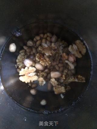 花生核桃豆浆的做法步骤：3