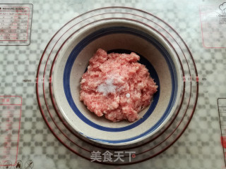梅干菜烧饼（烤箱版）的做法步骤：8
