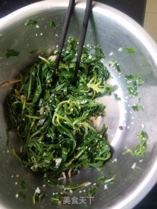 凉拌苦菜的做法步骤：8