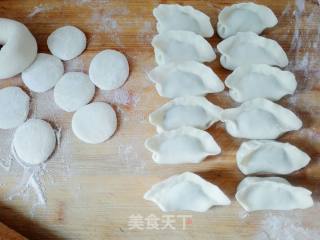 猪肉茴香饺子的做法步骤：7