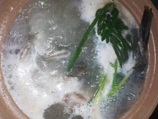 黑鱼豆腐汤的做法步骤：5
