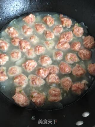冬瓜猪肉丸的做法步骤：14