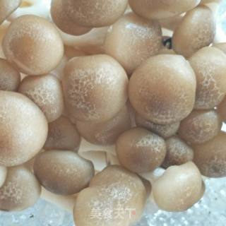 素炒真姬菇的做法步骤：1