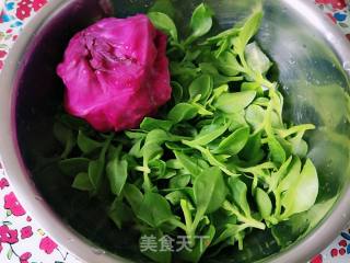 应季吃什么一一凉拌穿心莲的做法步骤：1