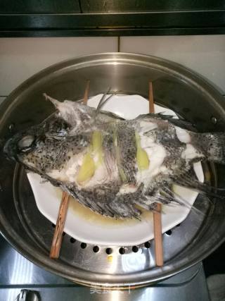 清蒸罗非鱼的做法步骤：6