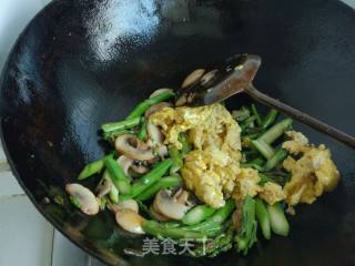 口蘑芦笋炒蛋的做法步骤：12