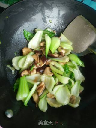香菇油菜的做法步骤：9