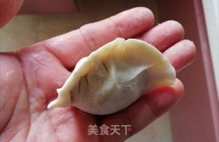 槐花猪肉饺子的做法步骤：4