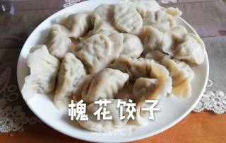 槐花猪肉饺子的做法步骤：7