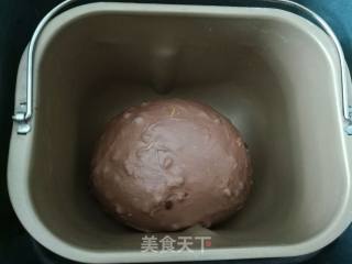 柠香可可软欧的做法步骤：8