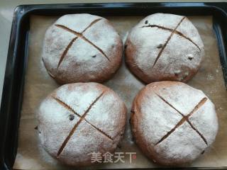 柠香可可软欧的做法步骤：16
