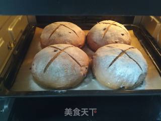 柠香可可软欧的做法步骤：17