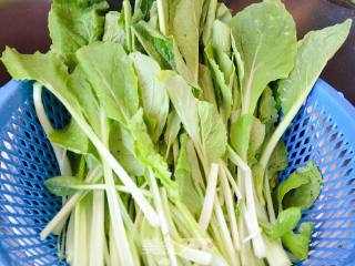 小白菜鸡蛋饼的做法步骤：2