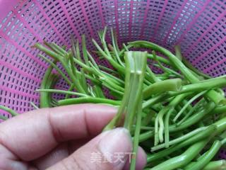 辣椒炒空心菜梗的做法步骤：2