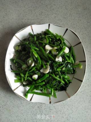 清炒芥菜苗的做法步骤：6