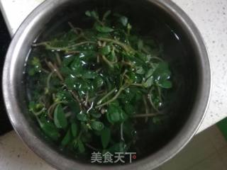 凉拌马齿苋的做法步骤：6