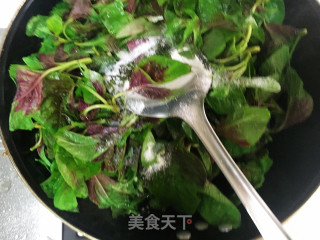 蒜香苋菜的做法步骤：5