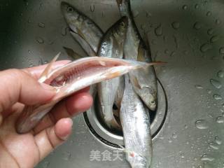 香辣小河鱼的做法步骤：3