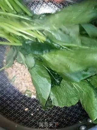 肉末油菜的做法步骤：5